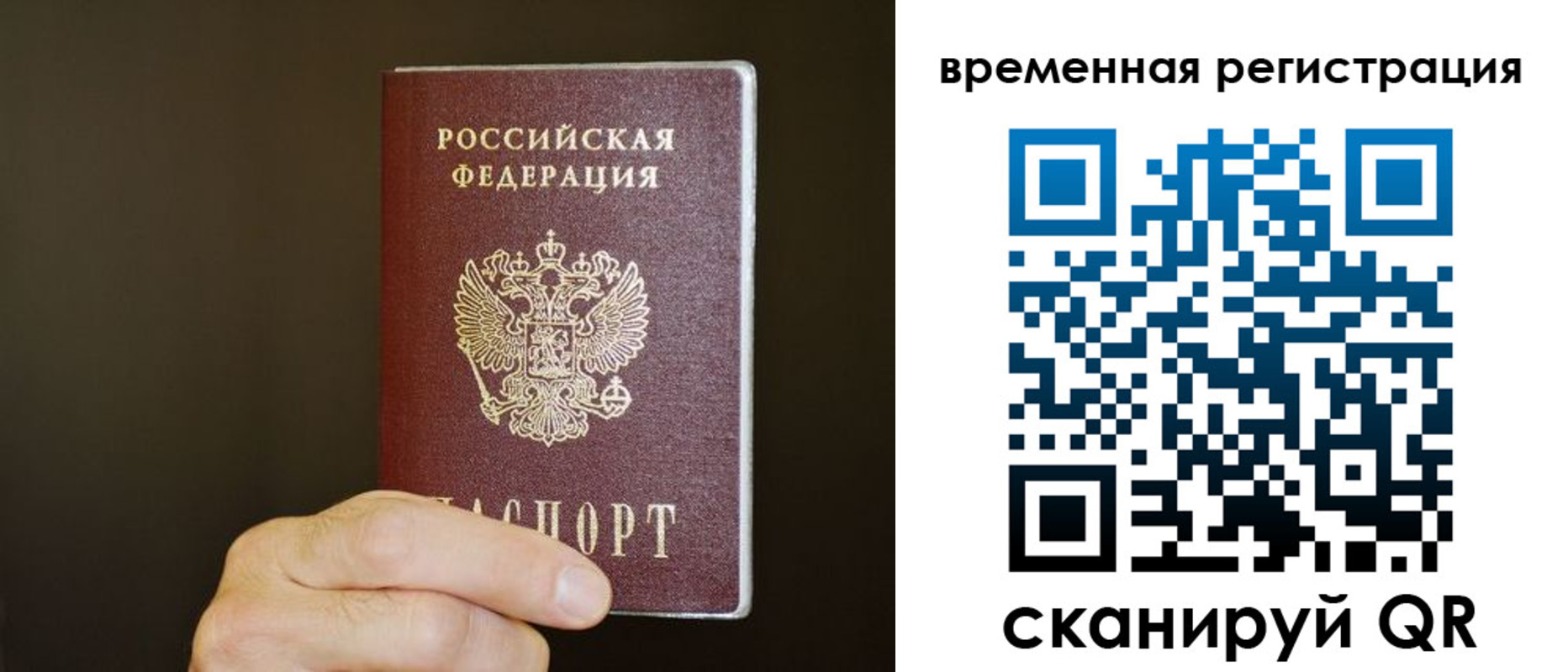 прописка гарантия в Приозерске